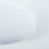 Plafonnier Weesen LED Blanc, 1 lumière, Détecteur de mouvement