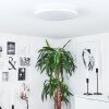 Plafonnier Bergell LED Blanc, 1 lumière