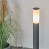 Borne lumineuse Caserta Anthracite, 1 lumière