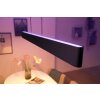 Suspension Philips Hue White & Color Ambiance Ensis LED Noir, 2 lumières, Changeur de couleurs