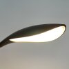 Lampe de table Fischer-Honsel Nil LED Noir, 1 lumière