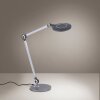 Lampe de table Leuchten-Direkt NIKLAS LED Noir, Argenté, 1 lumière