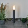 Borne lumineuse Sessa Anthracite, 1 lumière