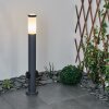 Borne lumineuse Sessa Anthracite, 1 lumière