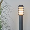 Borne lumineuse Caserta Anthracite, 1 lumière