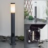 Borne lumineuse Sessa Anthracite, 1 lumière Borne lumineuse Sessa Anthracite, 1 lumière