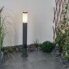 Borne lumineuse Sessa Anthracite, 1 lumière Borne lumineuse Sessa Anthracite, 1 lumière