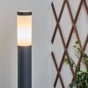 Borne lumineuse Sessa Anthracite, 1 lumière Borne lumineuse Sessa Anthracite, 1 lumière