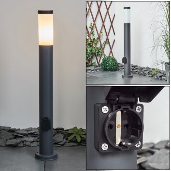 Borne lumineuse Sessa Anthracite, 1 lumière