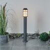 Borne lumineuse Tunes Anthracite, 1 lumière