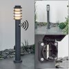 Borne lumineuse Tunes Anthracite, 1 lumière, Détecteur de mouvement