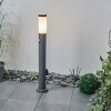 Borne lumineuse Sessa Anthracite, 1 lumière, Détecteur de mouvement