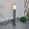 Borne lumineuse Sessa Anthracite, 1 lumière, Détecteur de mouvement