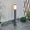 Borne lumineuse Sessa Anthracite, 1 lumière, Détecteur de mouvement