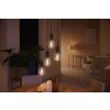 LED E27 7 Watt 2200 - 4500 Kelvin 550 Lumen Philips Hue White Ambiance