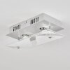 Plafonnier Liestal LED Nickel mat, 2 lumières