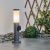 Borne lumineuse Sessa Anthracite, 1 lumière