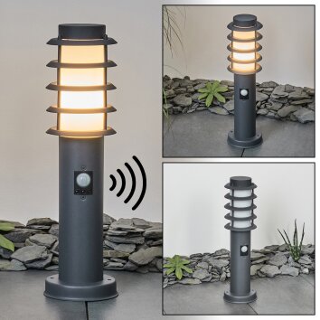 Borne lumineuse avec détecteur de mouvement Lampe d'extérieur avec prises  Lampadaire extérieur, fumée anthracite, télécommande dimmable, 1x LED RGB  8,5W 806Lm, DxH 7,6x60 cm