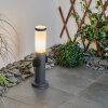 Borne lumineuse Sessa Anthracite, 1 lumière