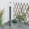 Borne lumineuse Sessa Anthracite, 1 lumière, Détecteur de mouvement