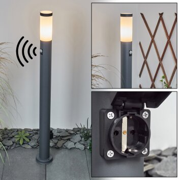 Borne lumineuse Sessa Anthracite, 1 lumière, Détecteur de mouvement