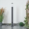 Borne lumineuse Sessa Anthracite, 1 lumière