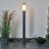 Borne lumineuse Sessa Anthracite, 1 lumière