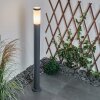 Borne lumineuse Sessa Anthracite, 1 lumière