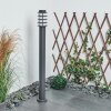 Borne lumineuse Tunes Anthracite, 1 lumière