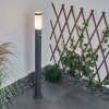 Borne lumineuse Sessa Anthracite, 1 lumière, Détecteur de mouvement