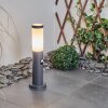 Borne lumineuse Sessa Anthracite, 1 lumière, Détecteur de mouvement