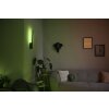 Applique murale Philips Hue White & Color Ambiance Liane LED Noir, 1 lumière, Changeur de couleurs