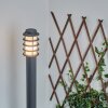 Borne lumineuse Tunes Anthracite, 1 lumière