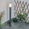 Borne lumineuse Sessa Anthracite, 1 lumière