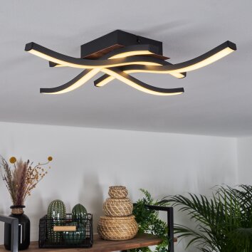 Plafonnier Odda LED Couleur bois, Noir, 4 lumières