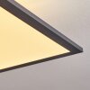 Plafonnier Salmi LED Noir, Blanc, 2 lumières