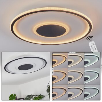 Plafonnier Kolo LED Anthracite, Blanc, 1 lumière, Télécommandes