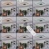 Plafonnier Kolo LED Anthracite, Blanc, 1 lumière, Télécommandes