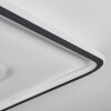 Plafonnier Kolo LED Anthracite, Blanc, 1 lumière, Télécommandes