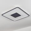 Plafonnier Kolo LED Anthracite, Blanc, 1 lumière, Télécommandes