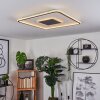 Plafonnier Kolo LED Anthracite, Blanc, 1 lumière, Télécommandes
