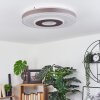 Plafonnier Buonas LED Blanc, 1 lumière, Télécommandes