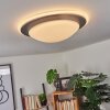 Plafonnier Wil LED Anthracite, Blanc, 1 lumière