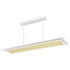 Suspension Globo MURPHY LED Blanc, 1 lumière, Télécommandes, Changeur de couleurs