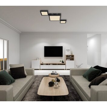 Plafonnier Globo BURKHARD LED Noir, 1 lumière