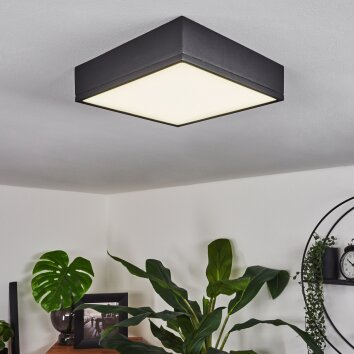 Plafonnier Netstal LED Noir, 1 lumière