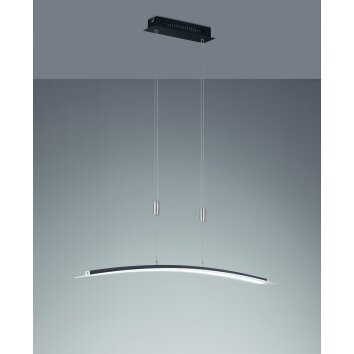 Suspension Fischer-Honsel Metis LED Noir, 1 lumière