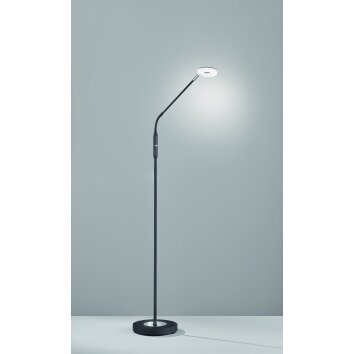 Lampadaire Fischer-Honsel Dent LED Noir, 1 lumière