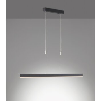 Suspension SCHÖNER-WOHNEN-Kollektion Straight LED Noir, 1 lumière