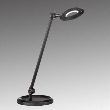 Lampe de table SCHÖNER-WOHNEN-Kollektion Office LED Noir, 1 lumière